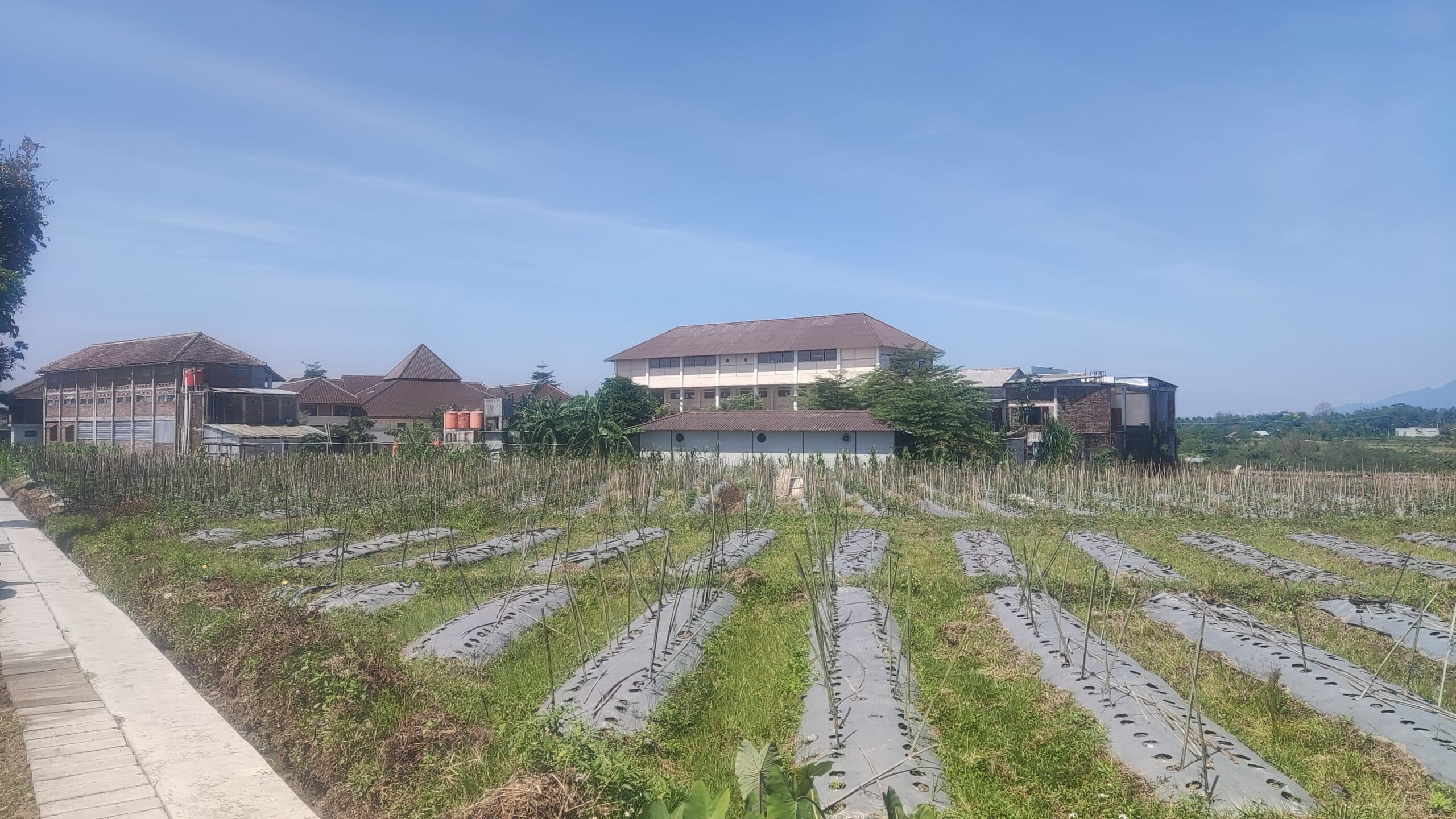 Pondok Pesantren Darul Atsar 2
